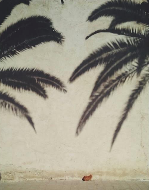 Being Alone is Not the Same as Being Lonely- Valentine's Edition Part 1