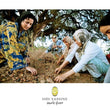 Load image into Gallery viewer, Culinary Organic Argan Oil 1L