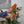 Load image into Gallery viewer, Baladi Slippers Burnt Orange
