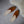 Load image into Gallery viewer, Baladi Slippers Burnt Orange
