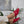Load image into Gallery viewer, Leather handmade Egyptian slippers, ruby red leather on top and tan leather sole, white hand stitching through the red leather, pointed toe and flat sole
