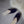 Load image into Gallery viewer, Baladi Slippers Sapphire Blue
