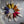 Load image into Gallery viewer, Baladi Slippers Mustard Yellow
